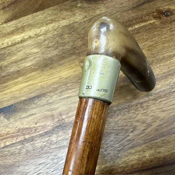 Walking Stick 4b